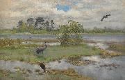 bruno liljefors Landscape With Cranes at the Water oil painting on canvas